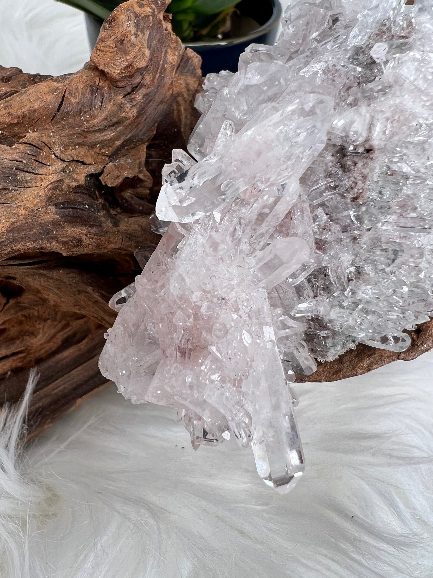 Pink Columbian Lemurian Cluster