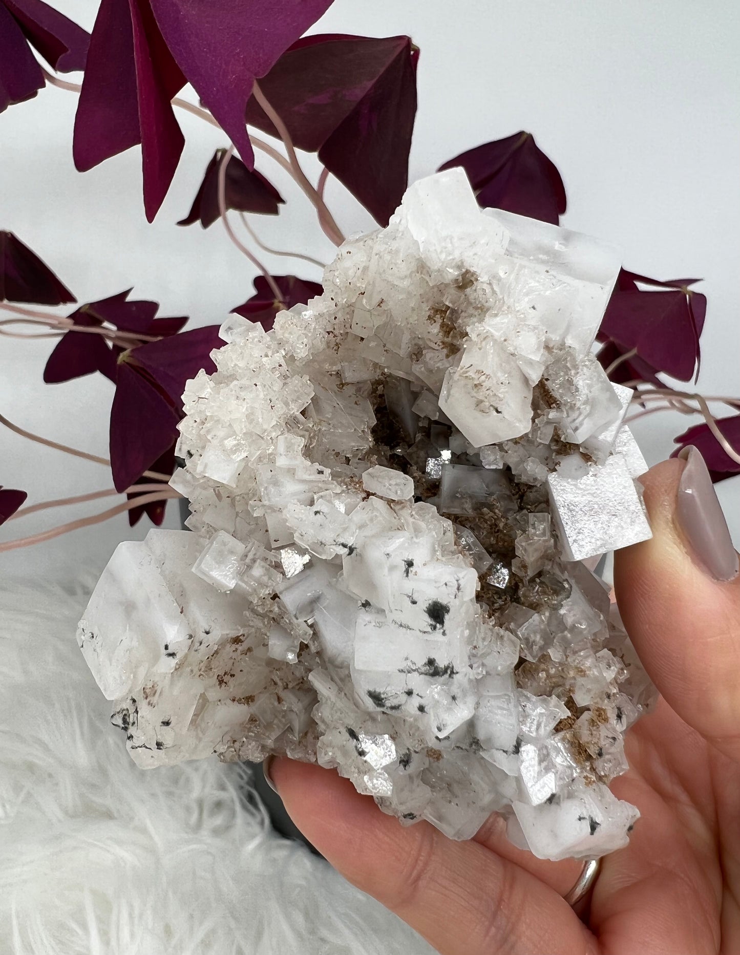 White Cubic Halite