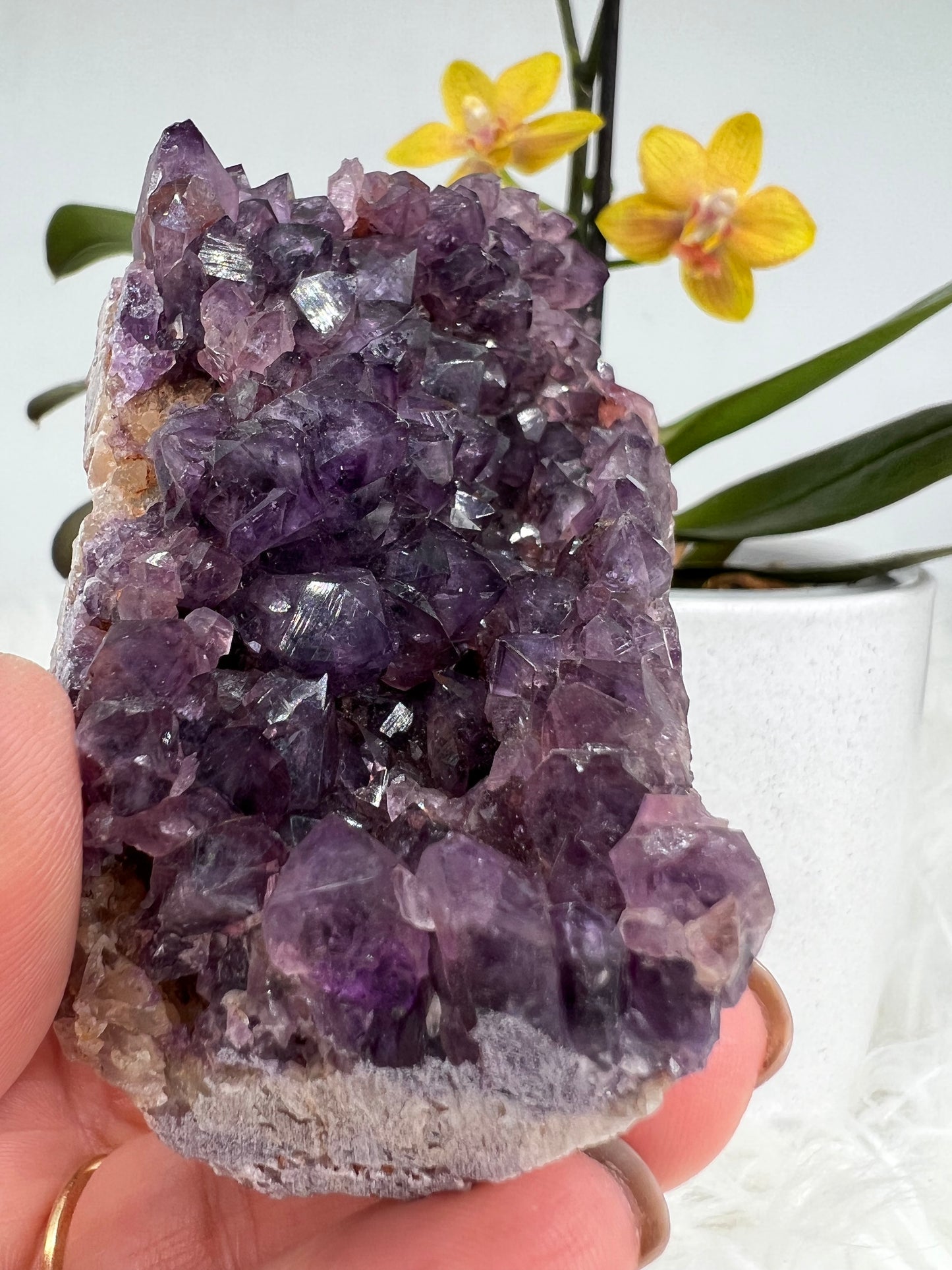 Alacam Amethyst