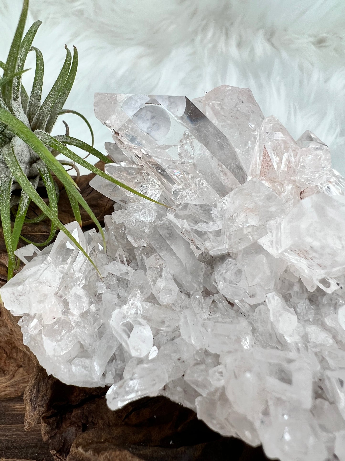 Pink Columbian Lemurian Cluster