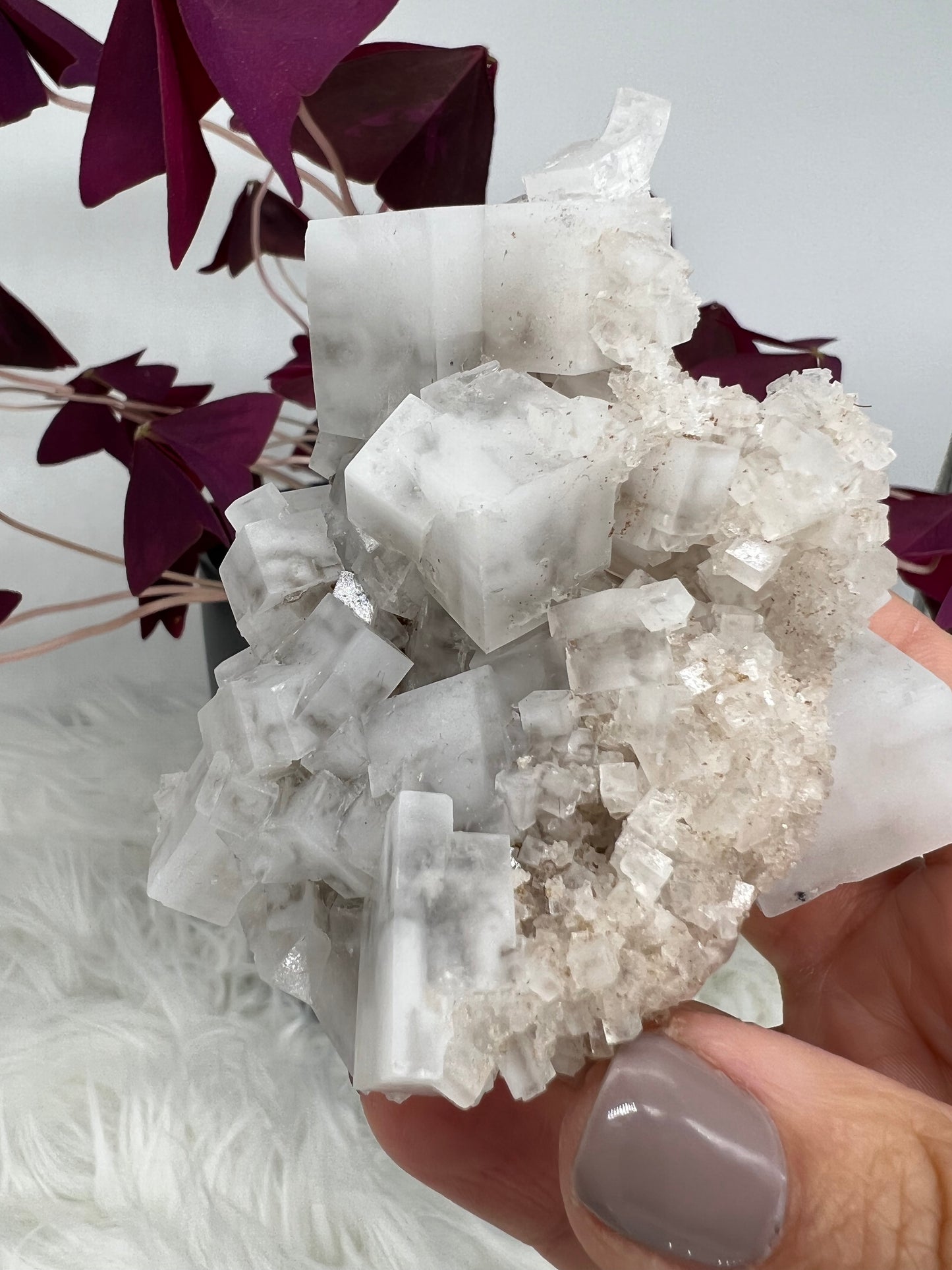 White Cubic Halite