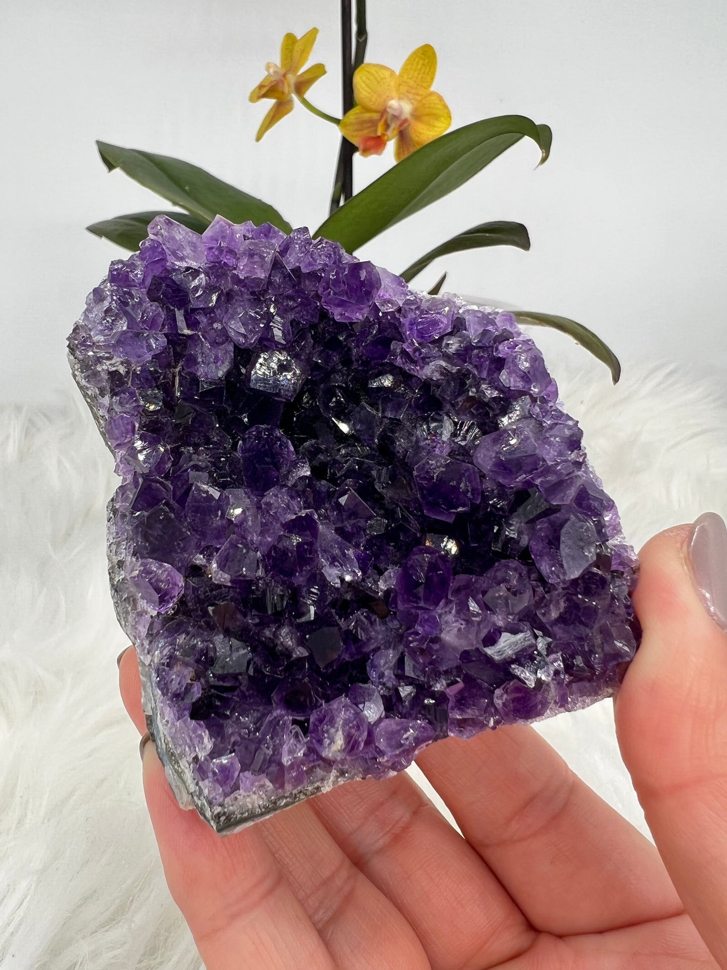 Grape Jelly Amethyst