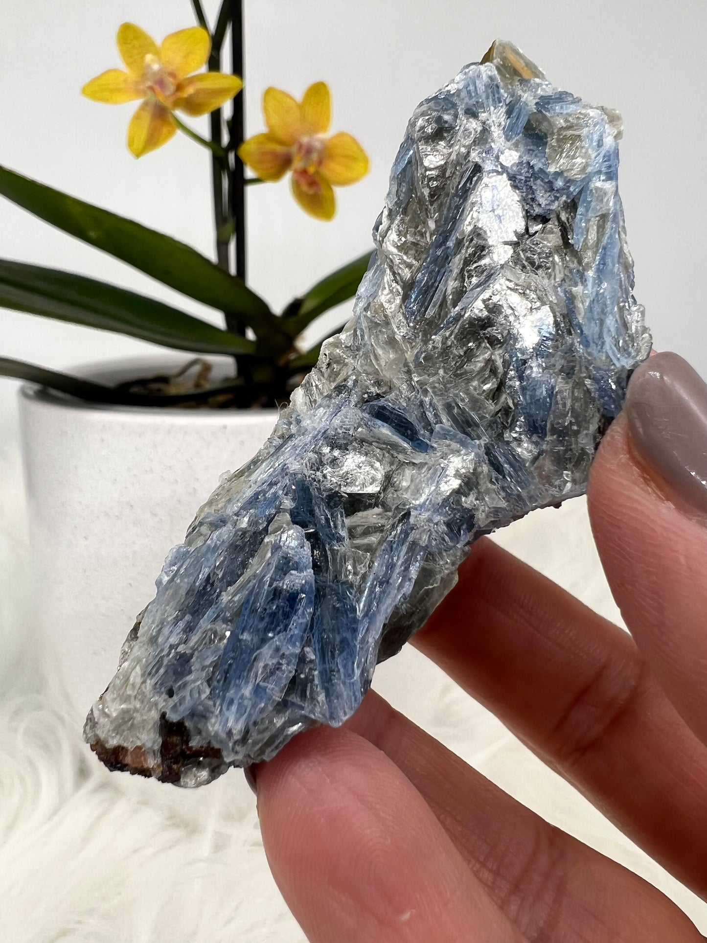 Blue Kyanite and Gold Mica