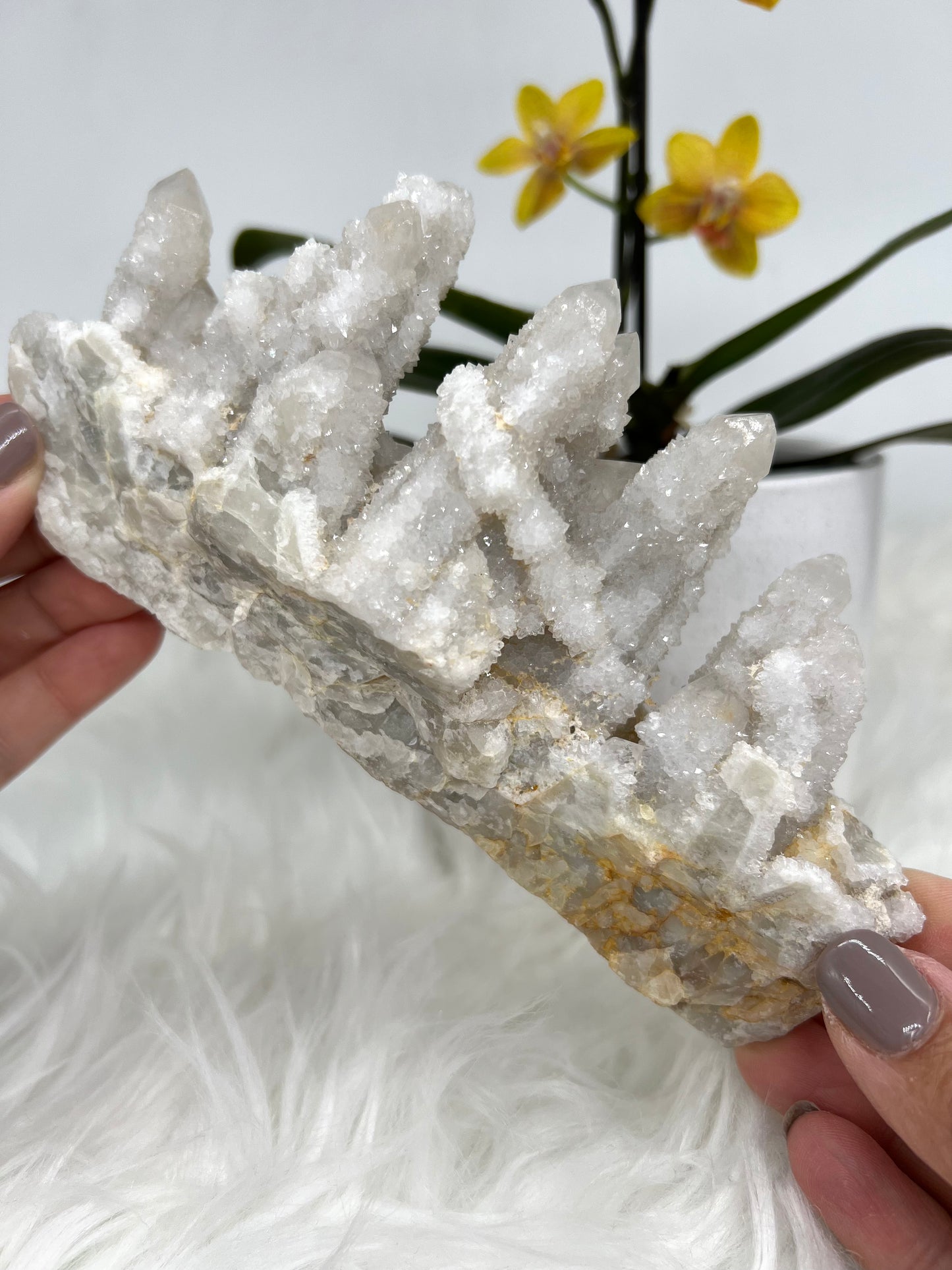 White Spirit Quartz