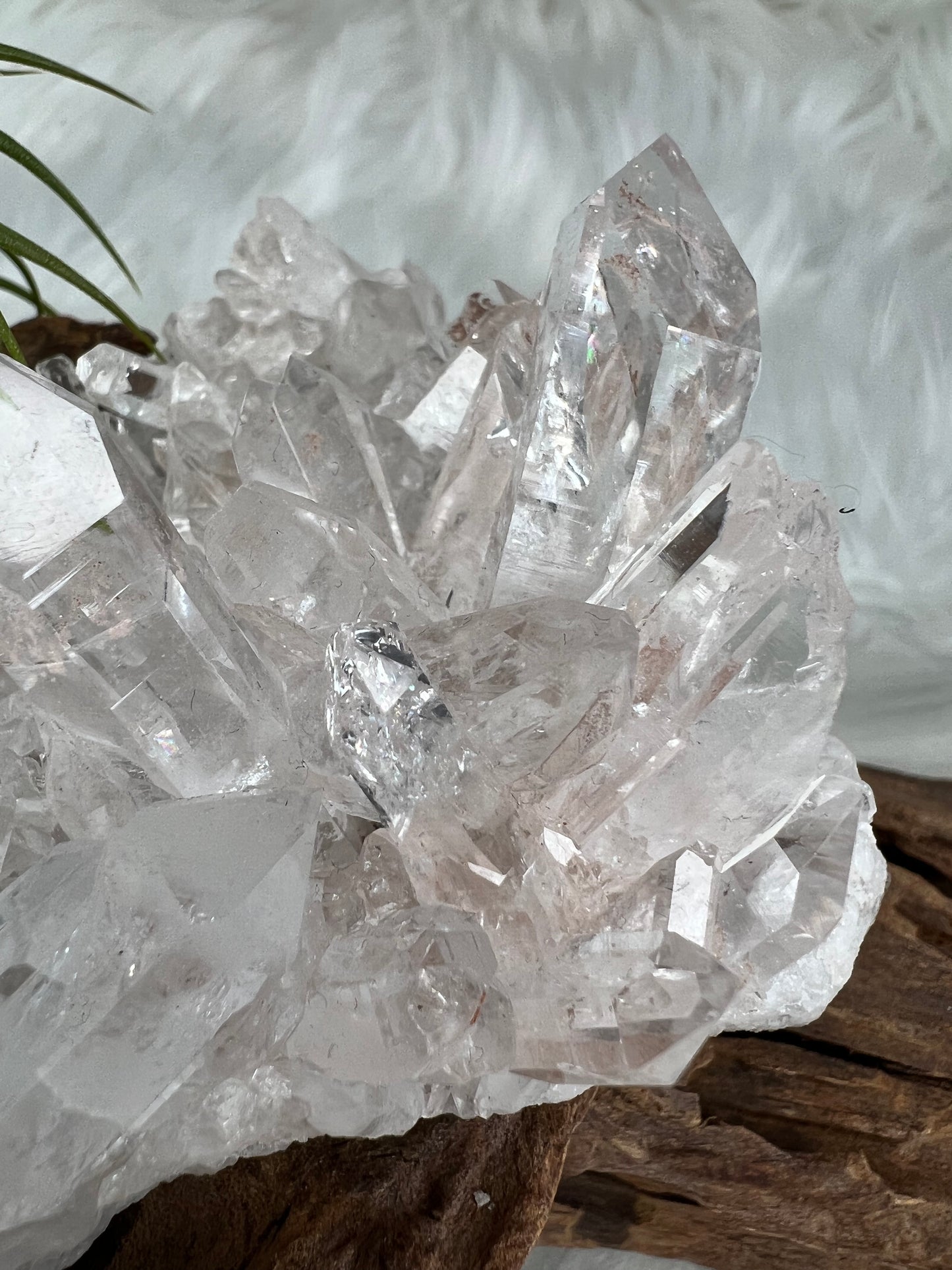 Pink Columbian Lemurian Cluster