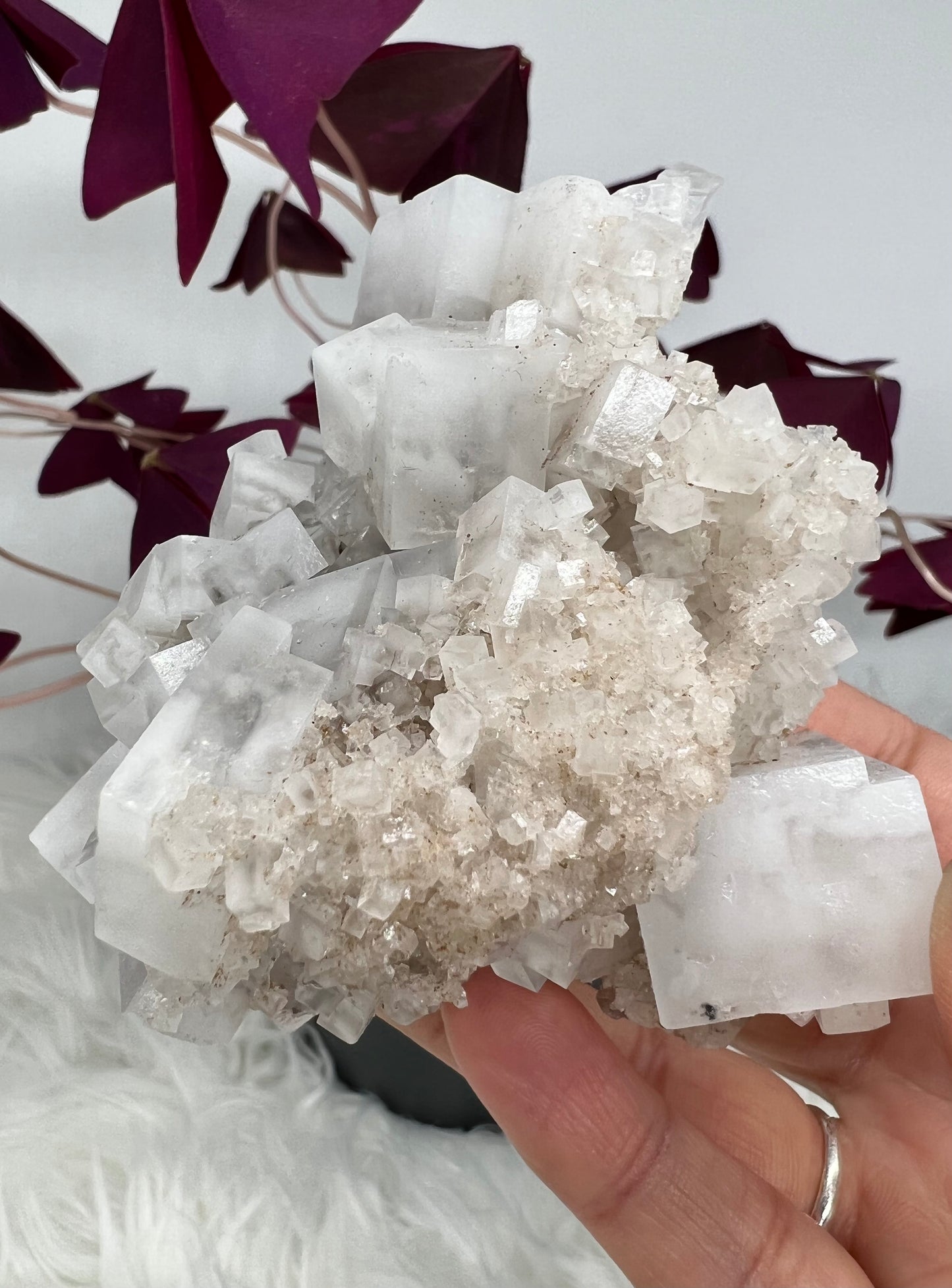 White Cubic Halite