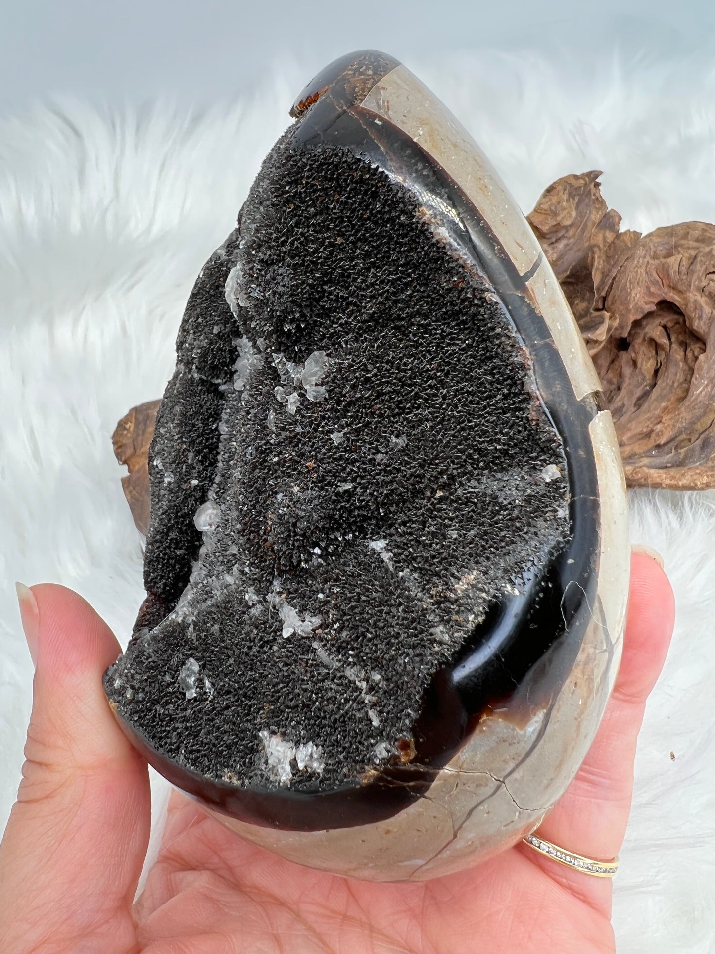 Septarian Geode