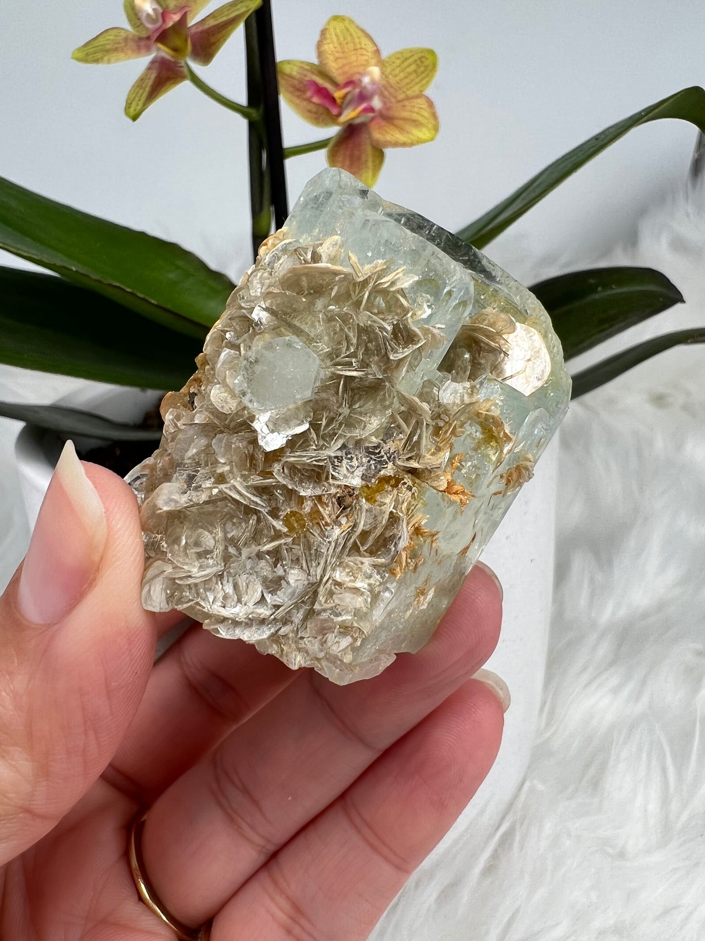 Aquamarine with Gold Mica