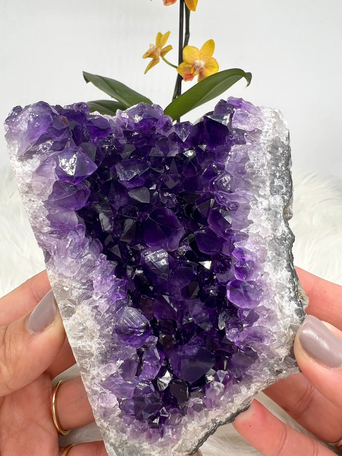 Grape Jelly Amethyst