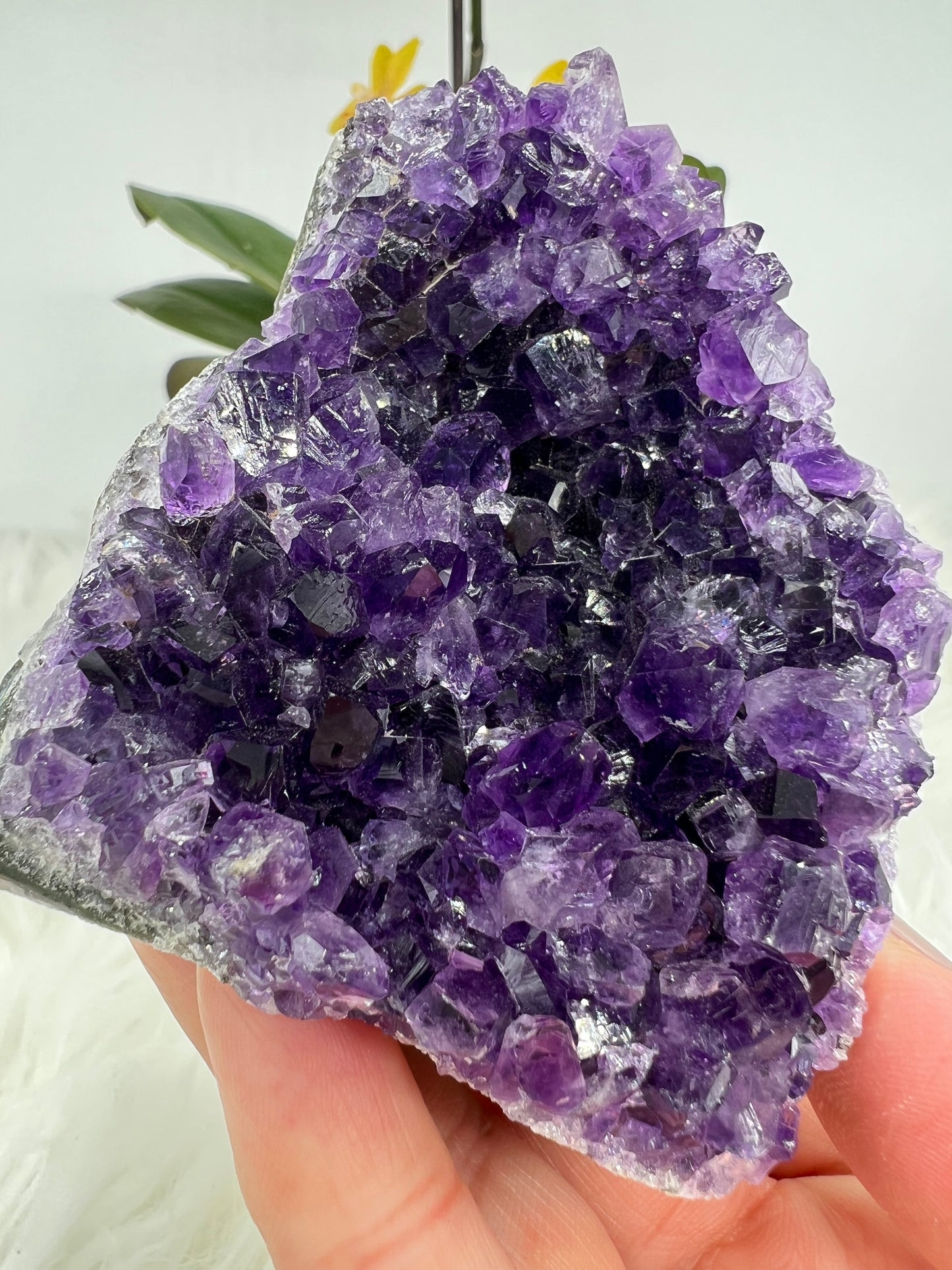 Grape Jelly Amethyst