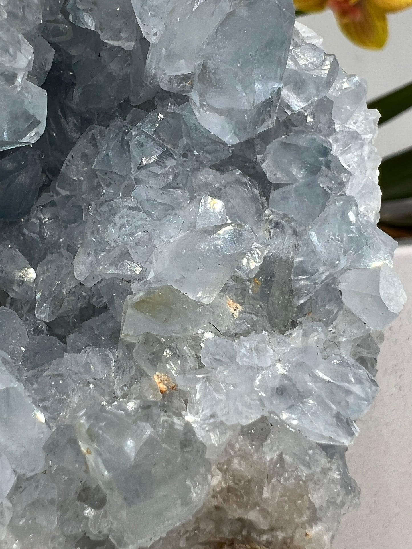 Celestite