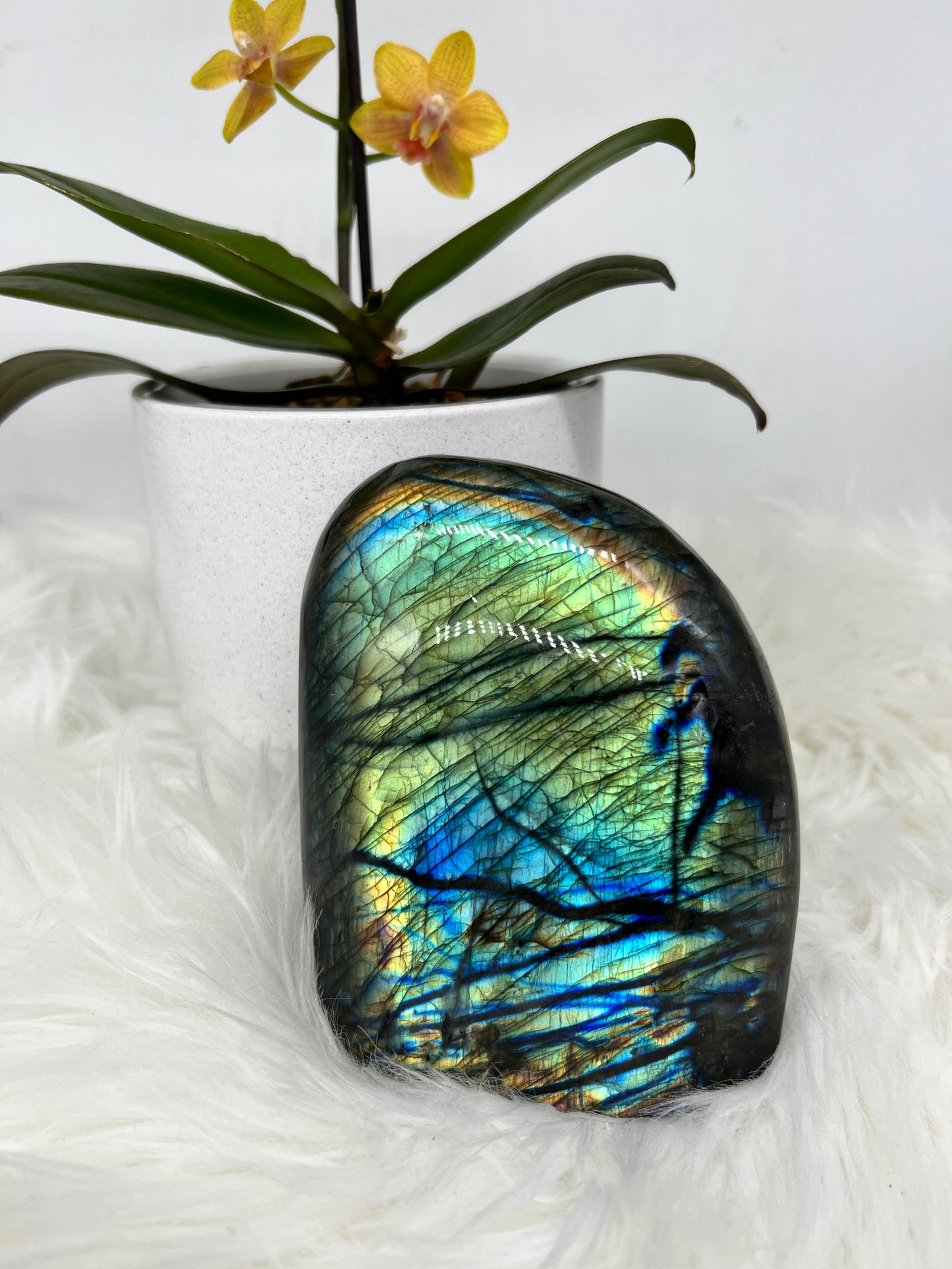 Labradorite Freeform