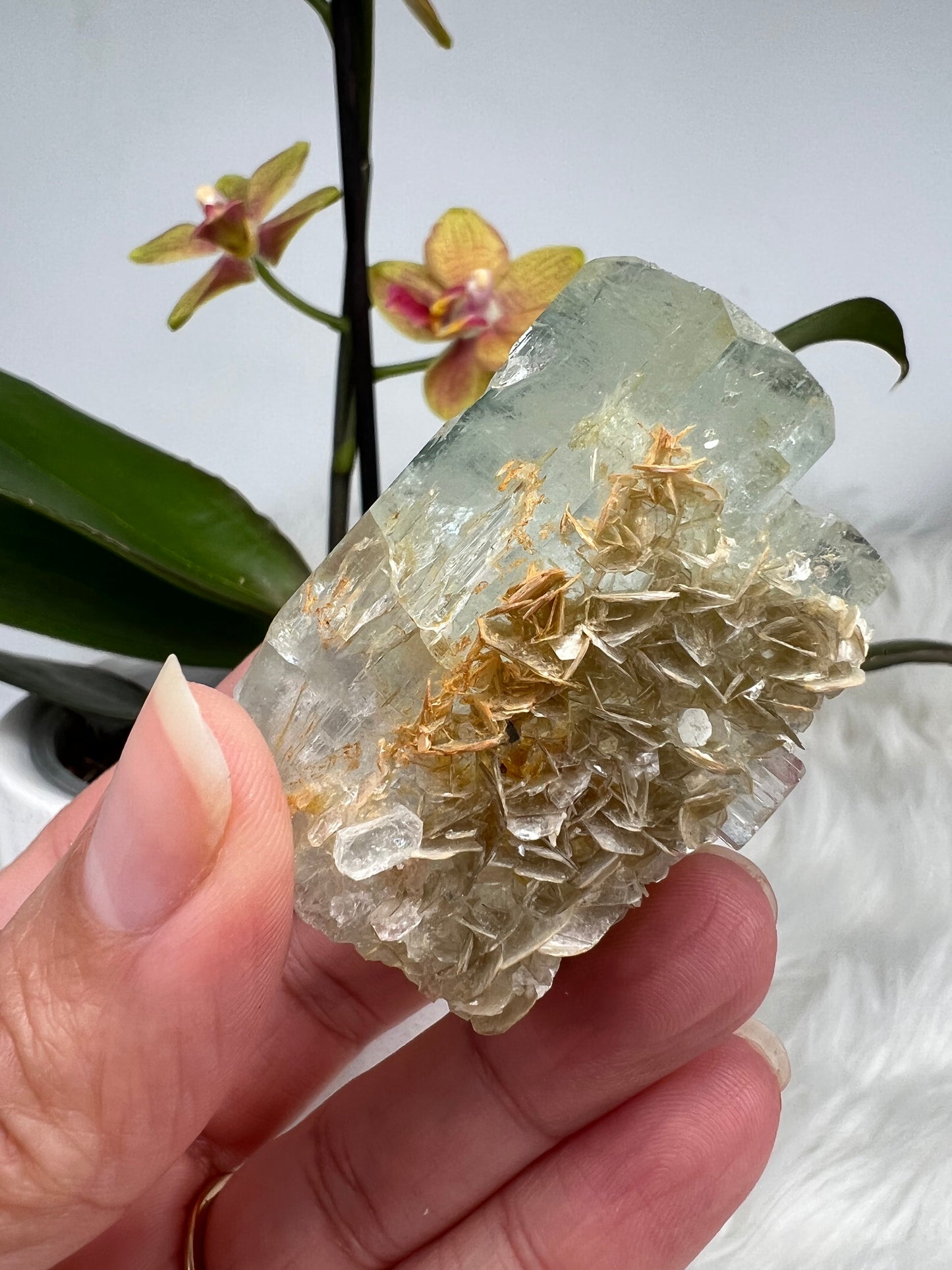 Aquamarine with Gold Mica