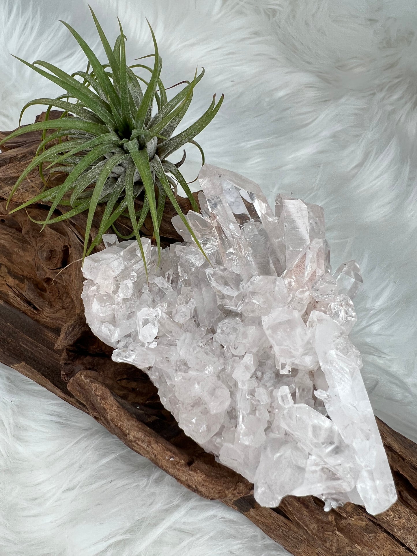 Pink Columbian Lemurian Cluster