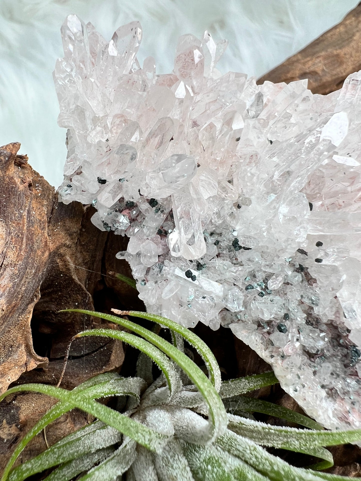 Pink Columbian Lemurian Cluster