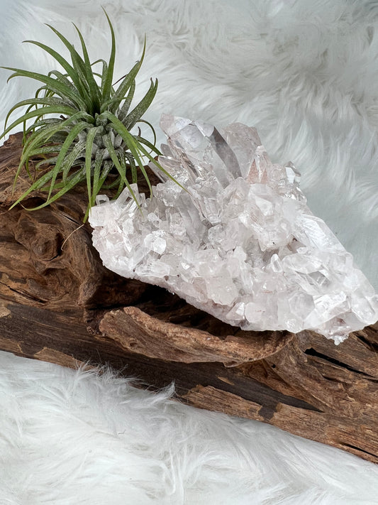 Pink Columbian Lemurian Cluster