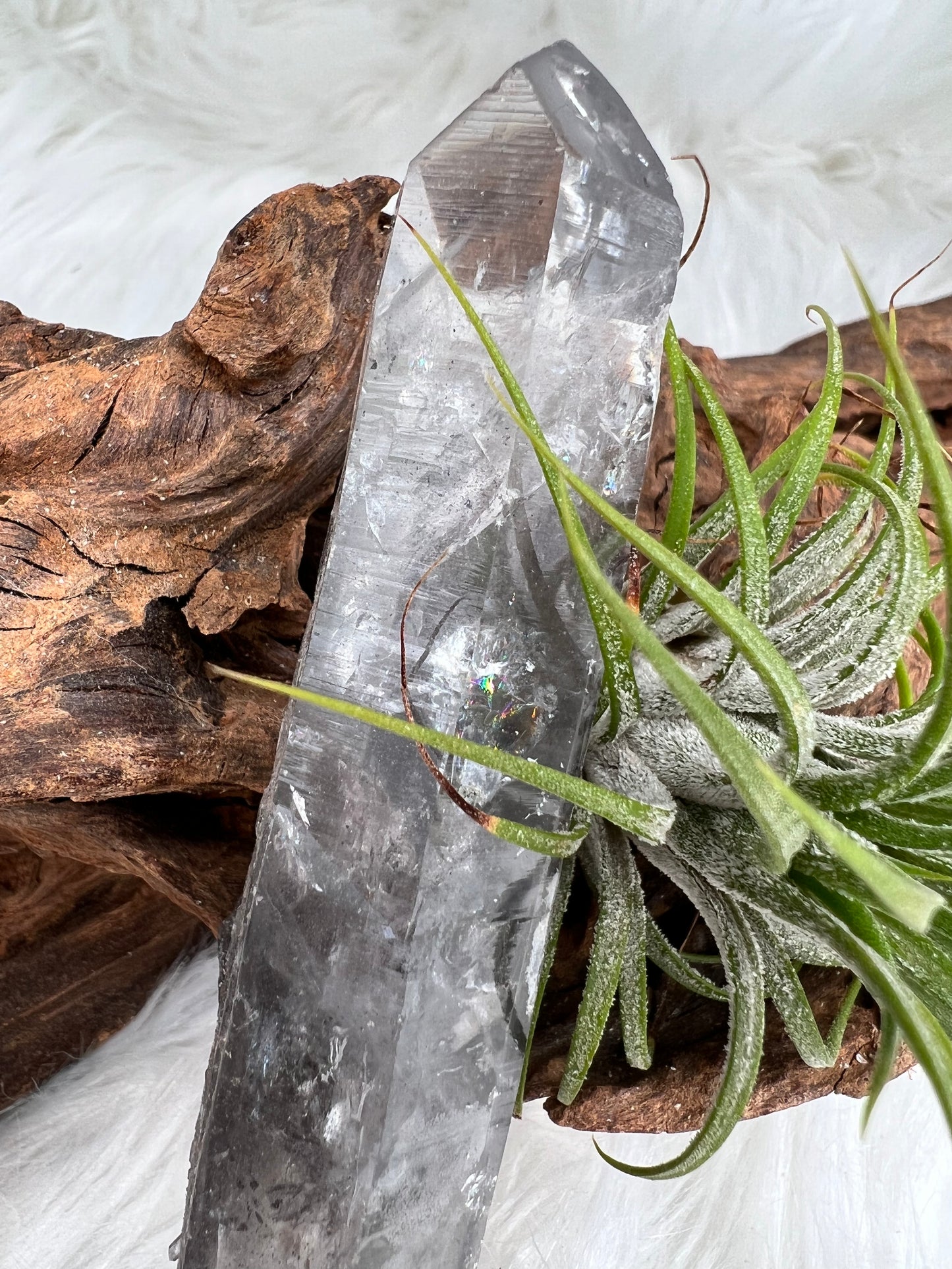 Double Terminated Tibetan Quartz