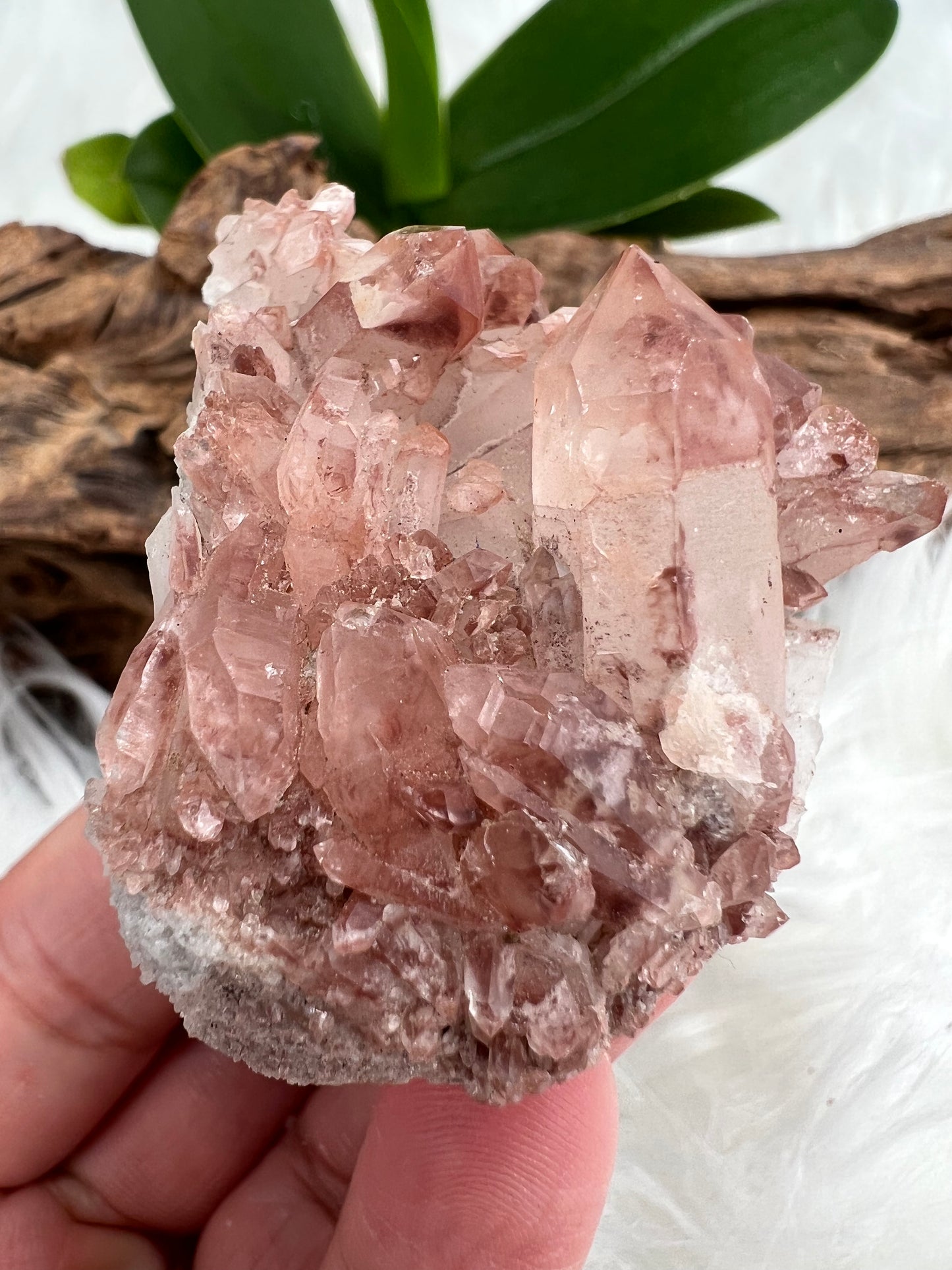 Lithium Included Quartz Cluster