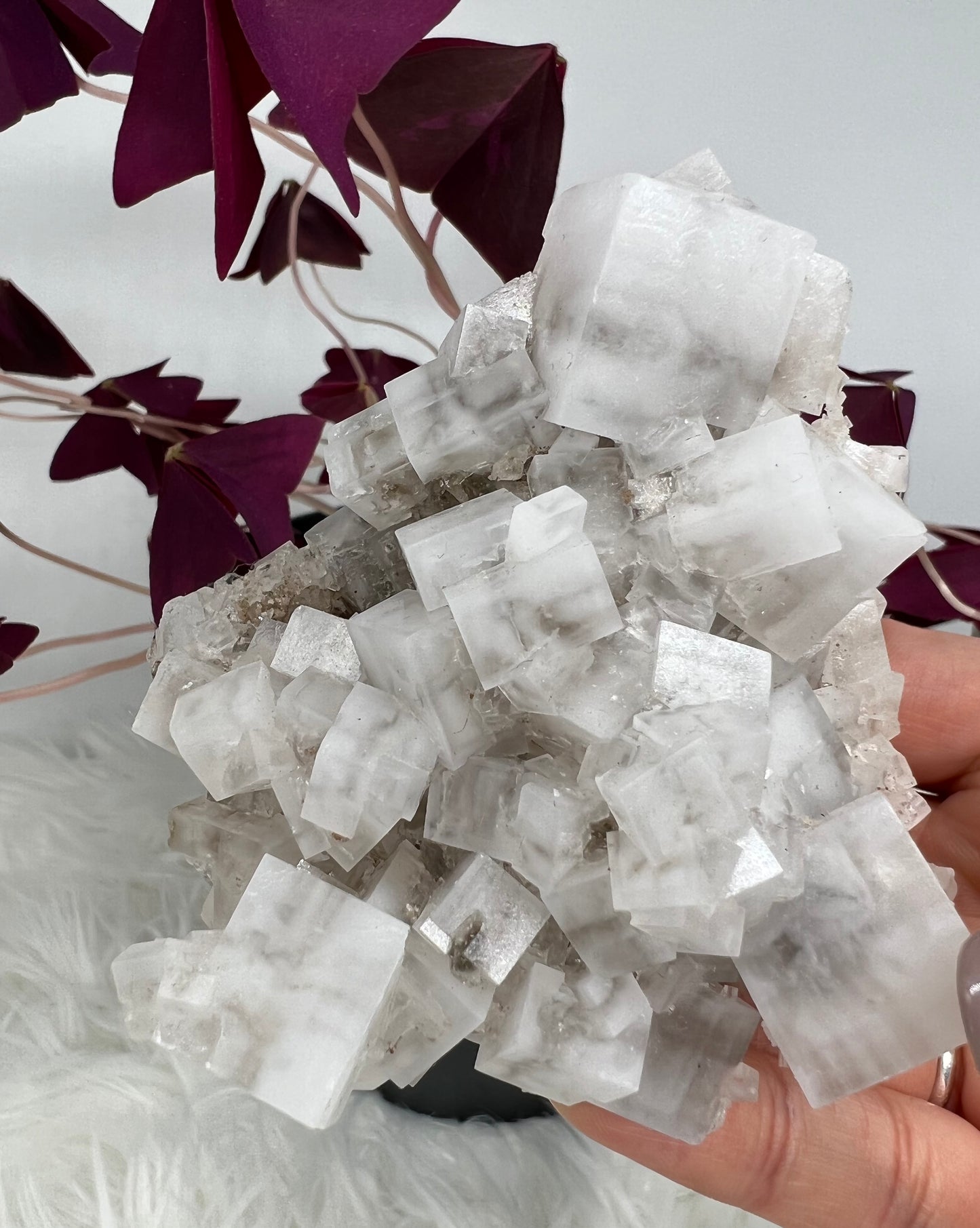 White Cubic Halite