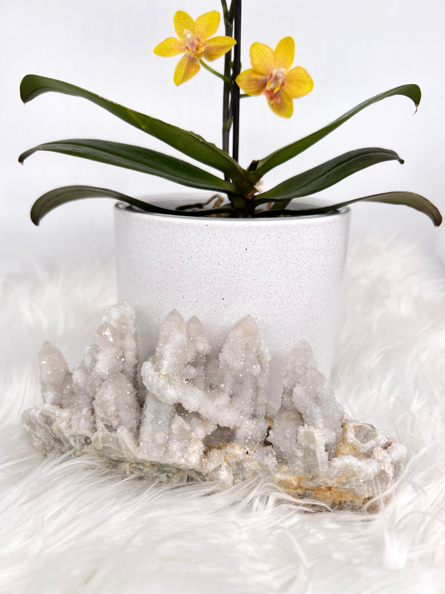 White Spirit Quartz