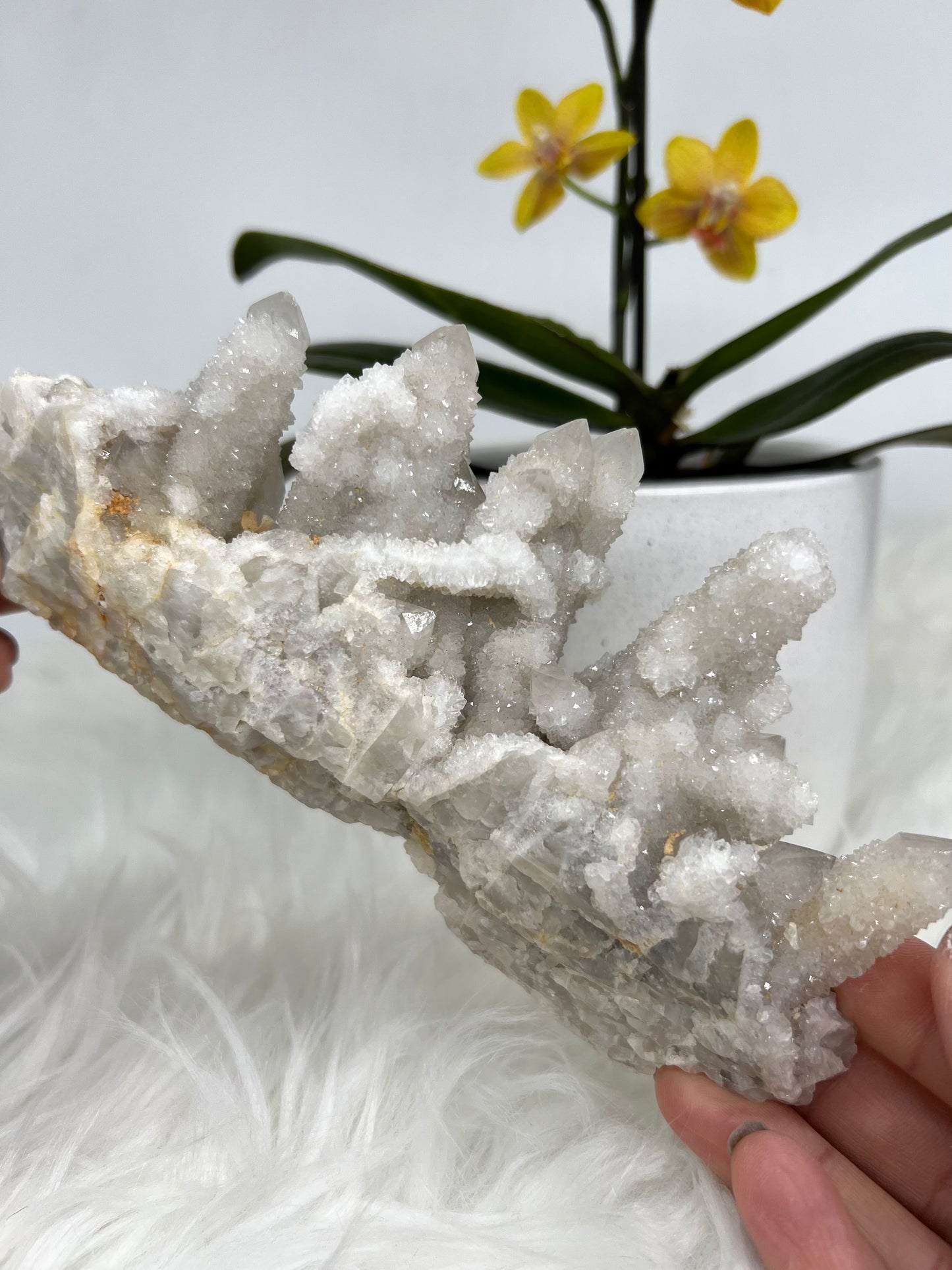 White Spirit Quartz