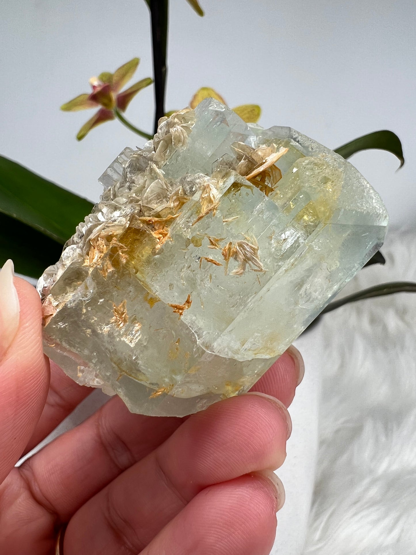 Aquamarine with Gold Mica