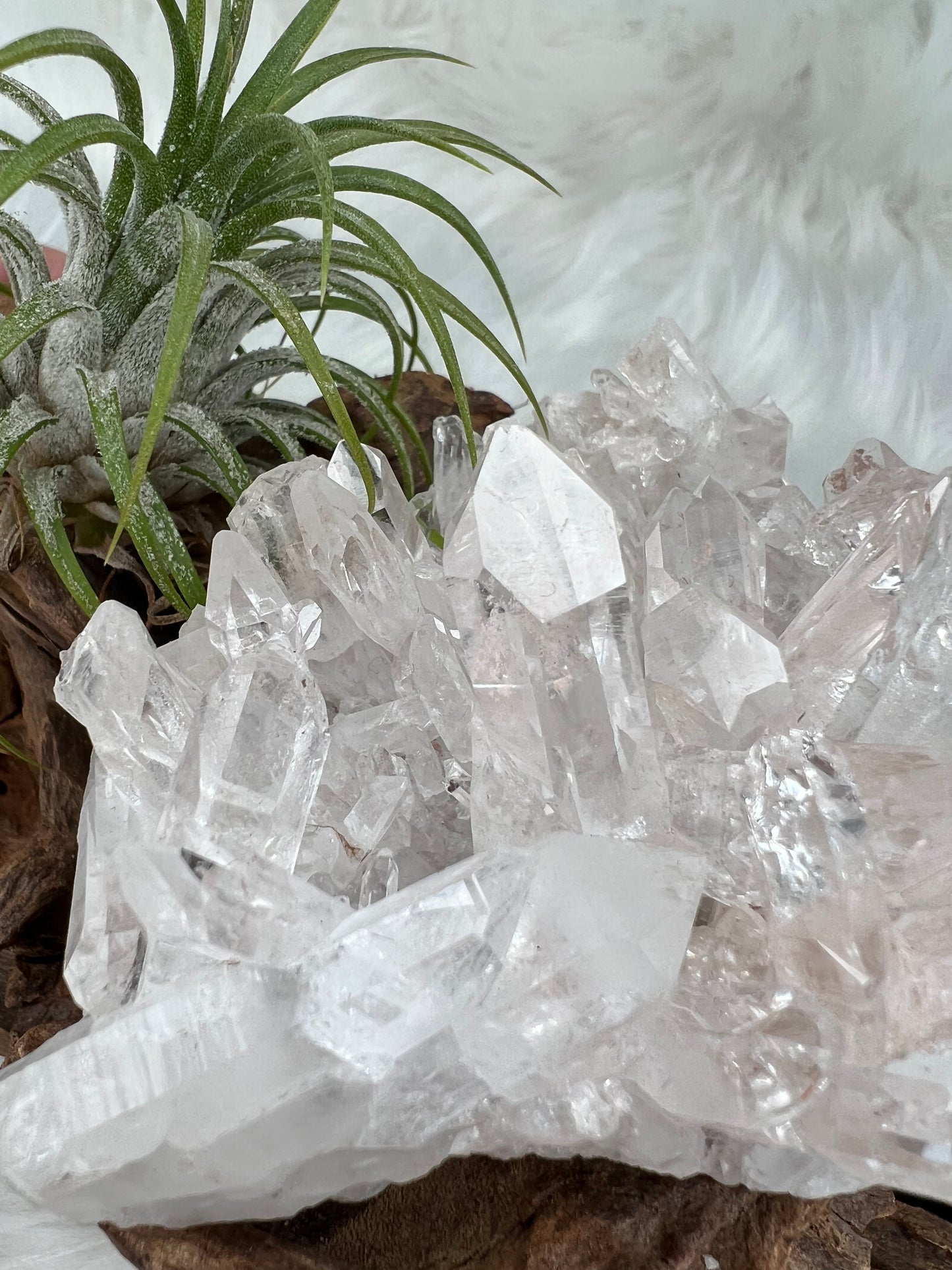 Pink Columbian Lemurian Cluster