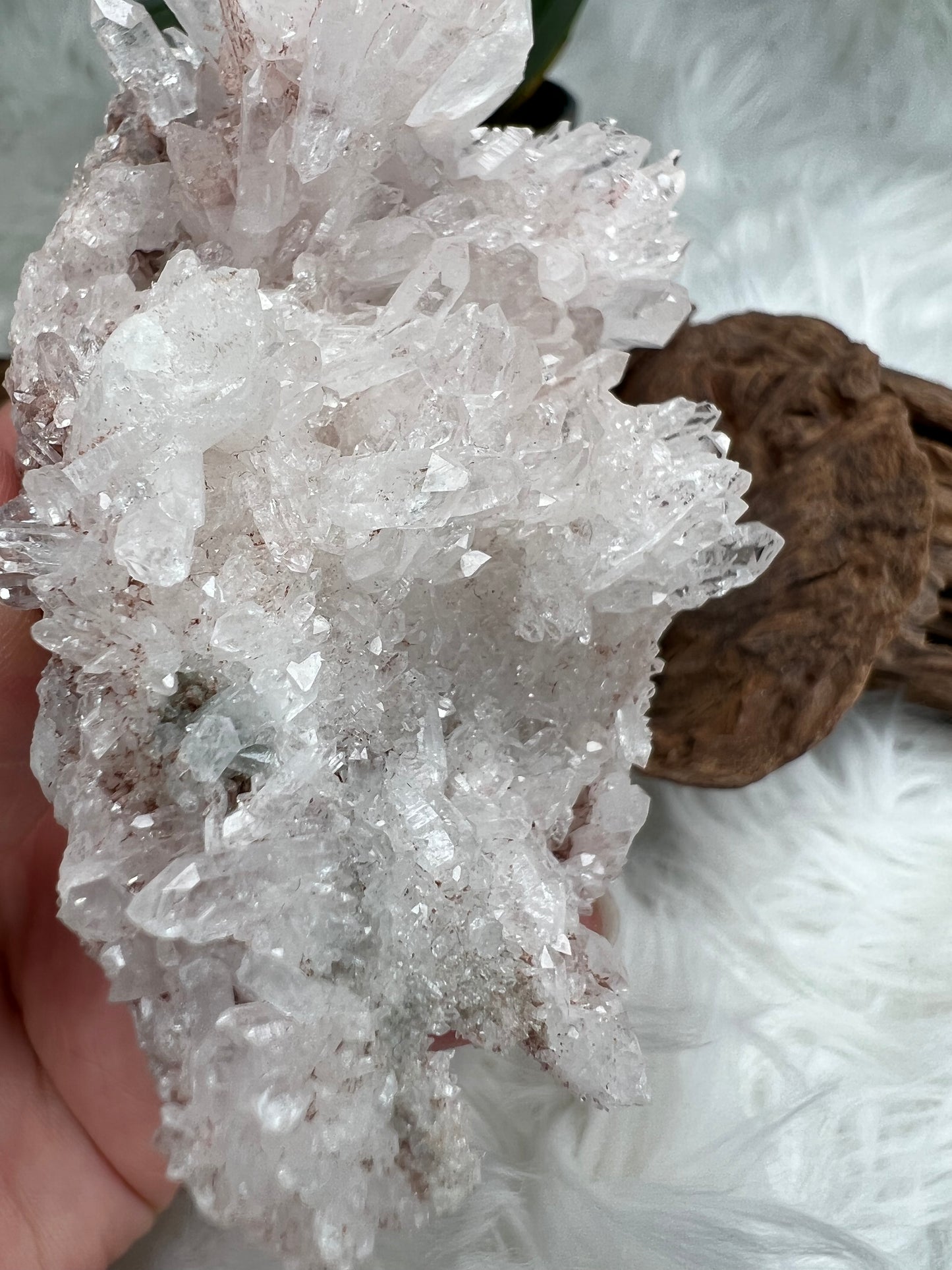 Pink Columbian Lemurian Cluster