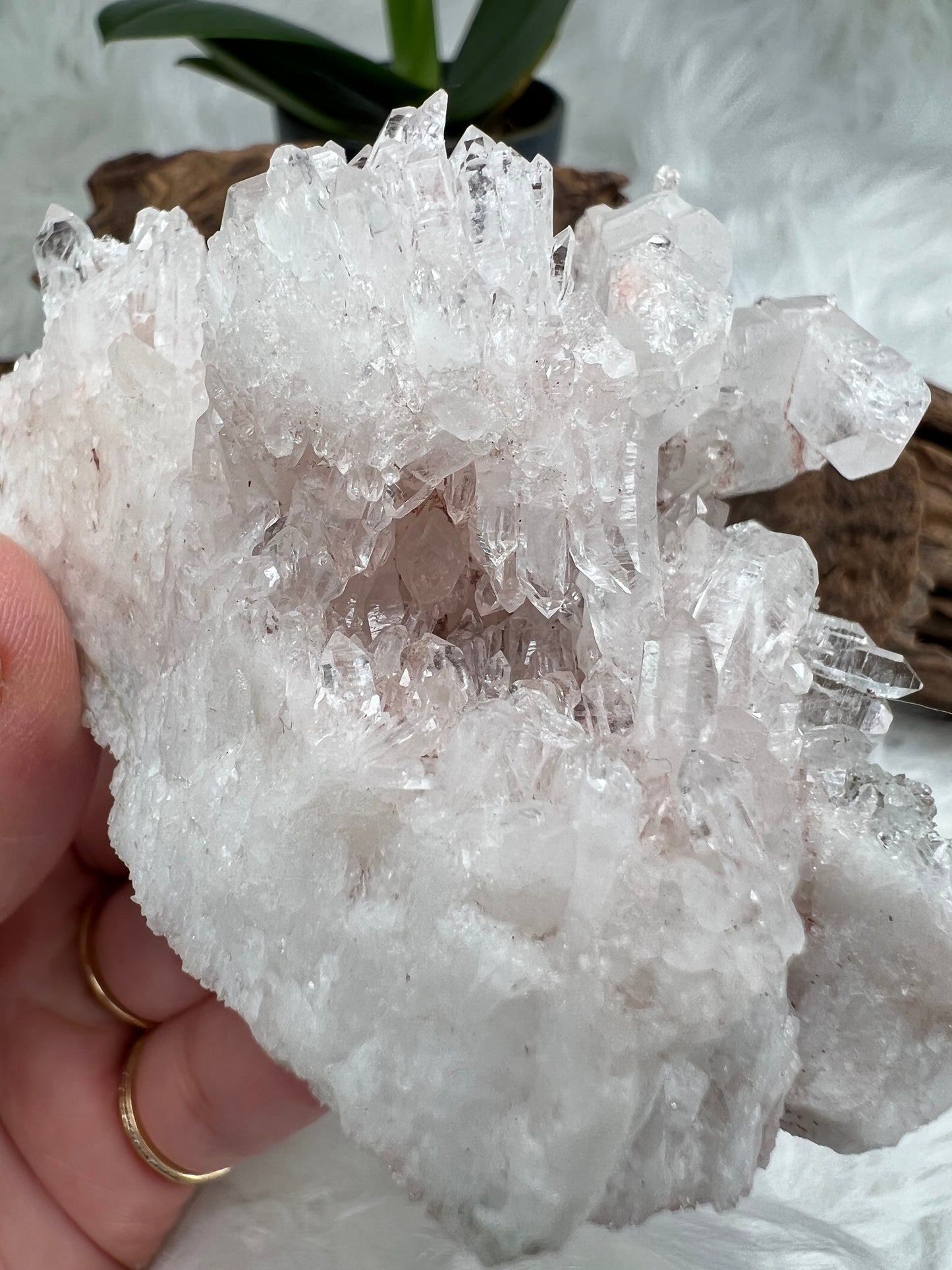 Pink Columbian Lemurian Cluster