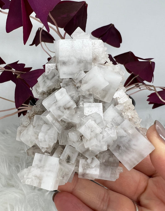 White Cubic Halite