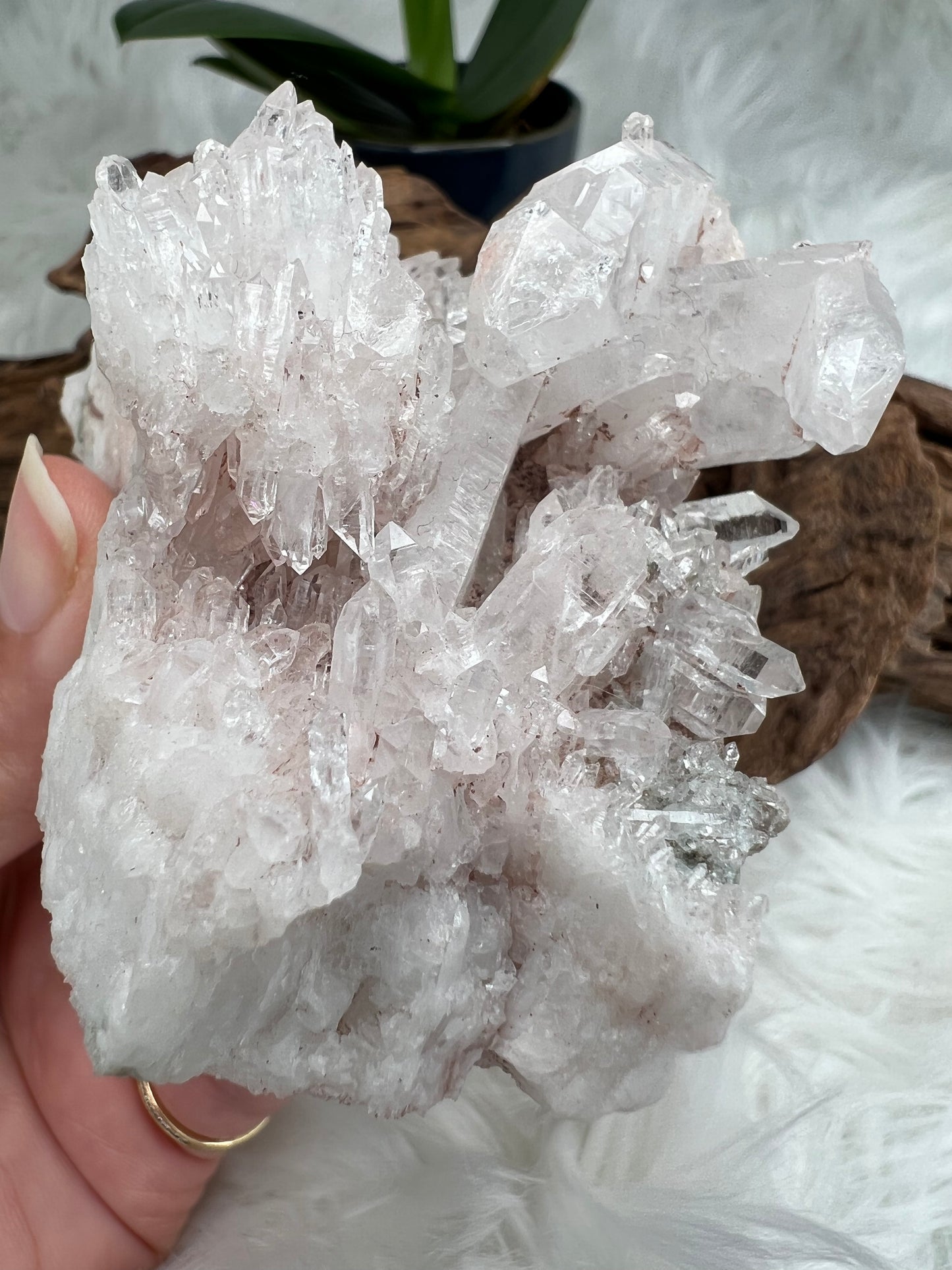 Pink Columbian Lemurian Cluster