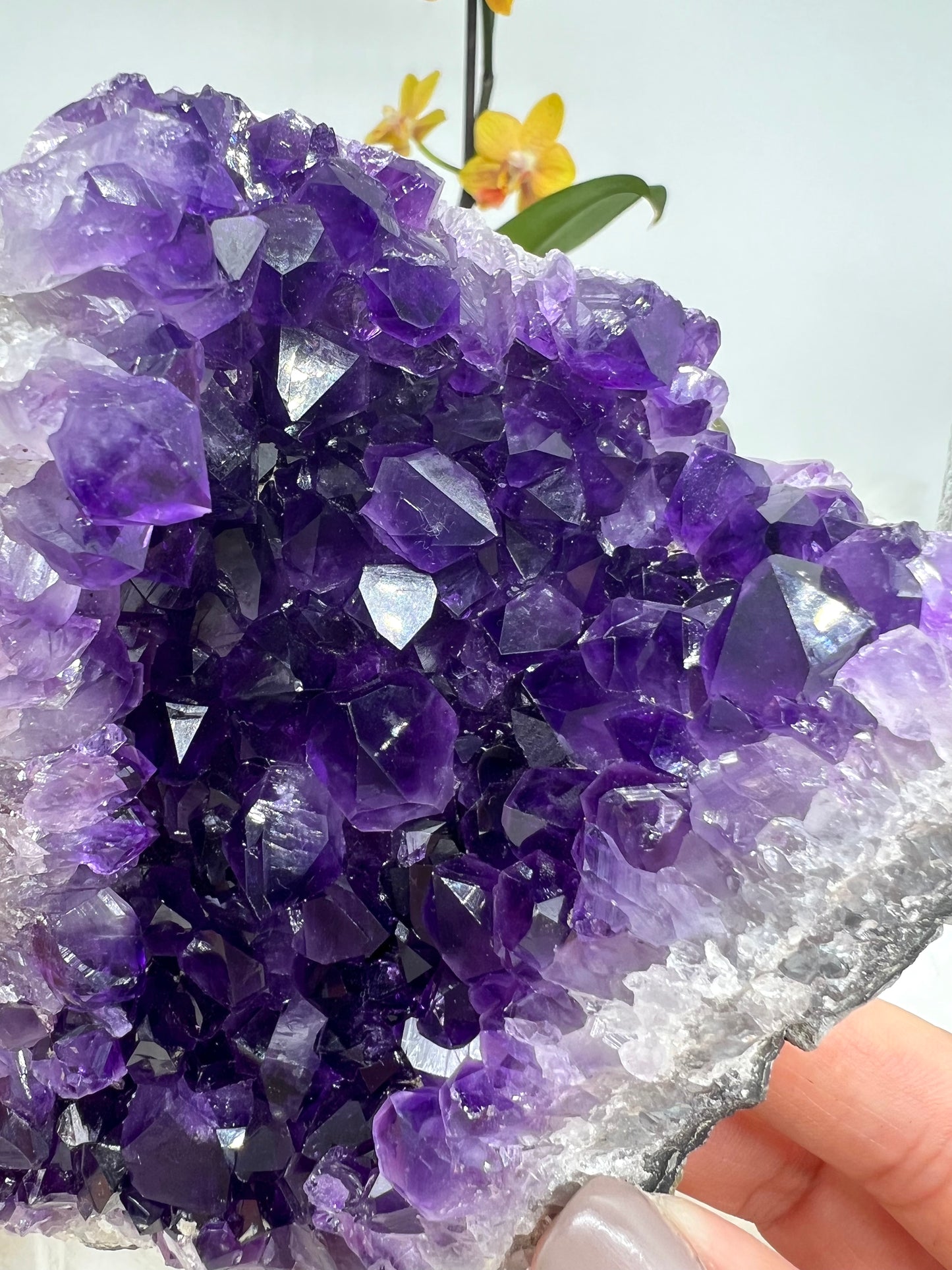 Grape Jelly Amethyst