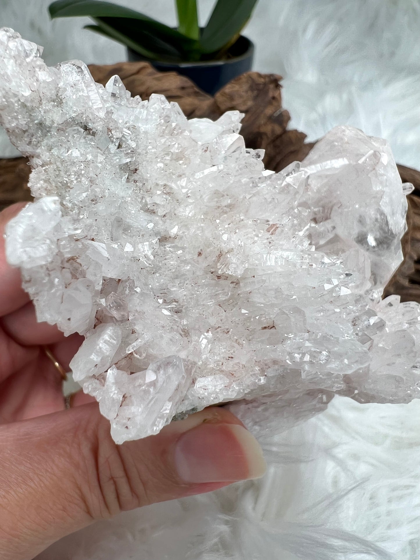 Pink Columbian Lemurian Cluster