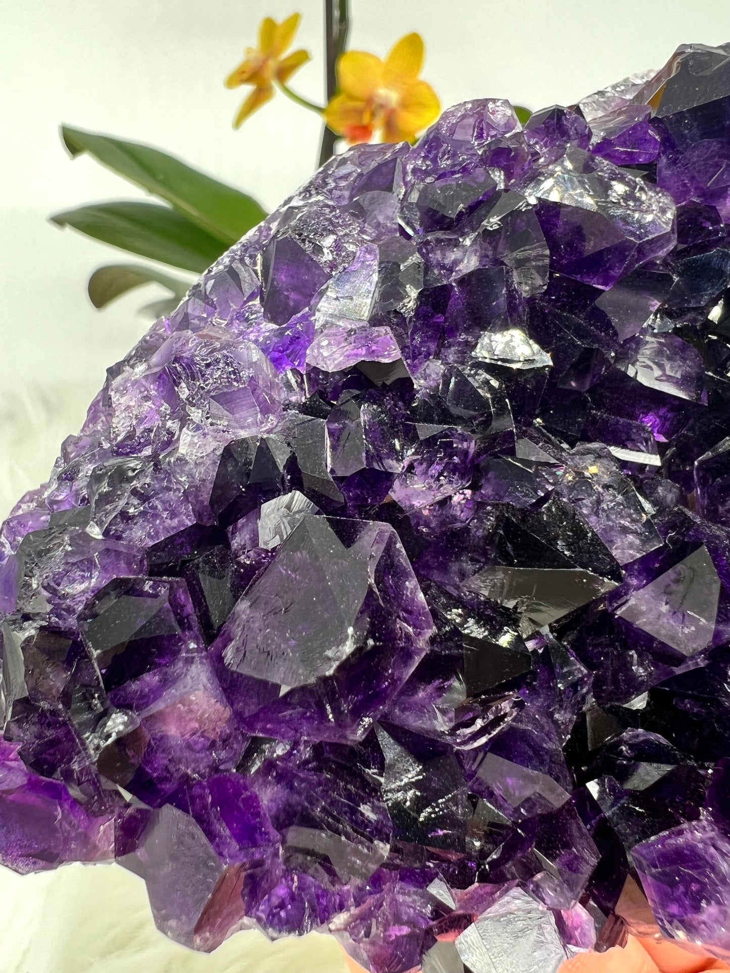 Grape Jelly Amethyst