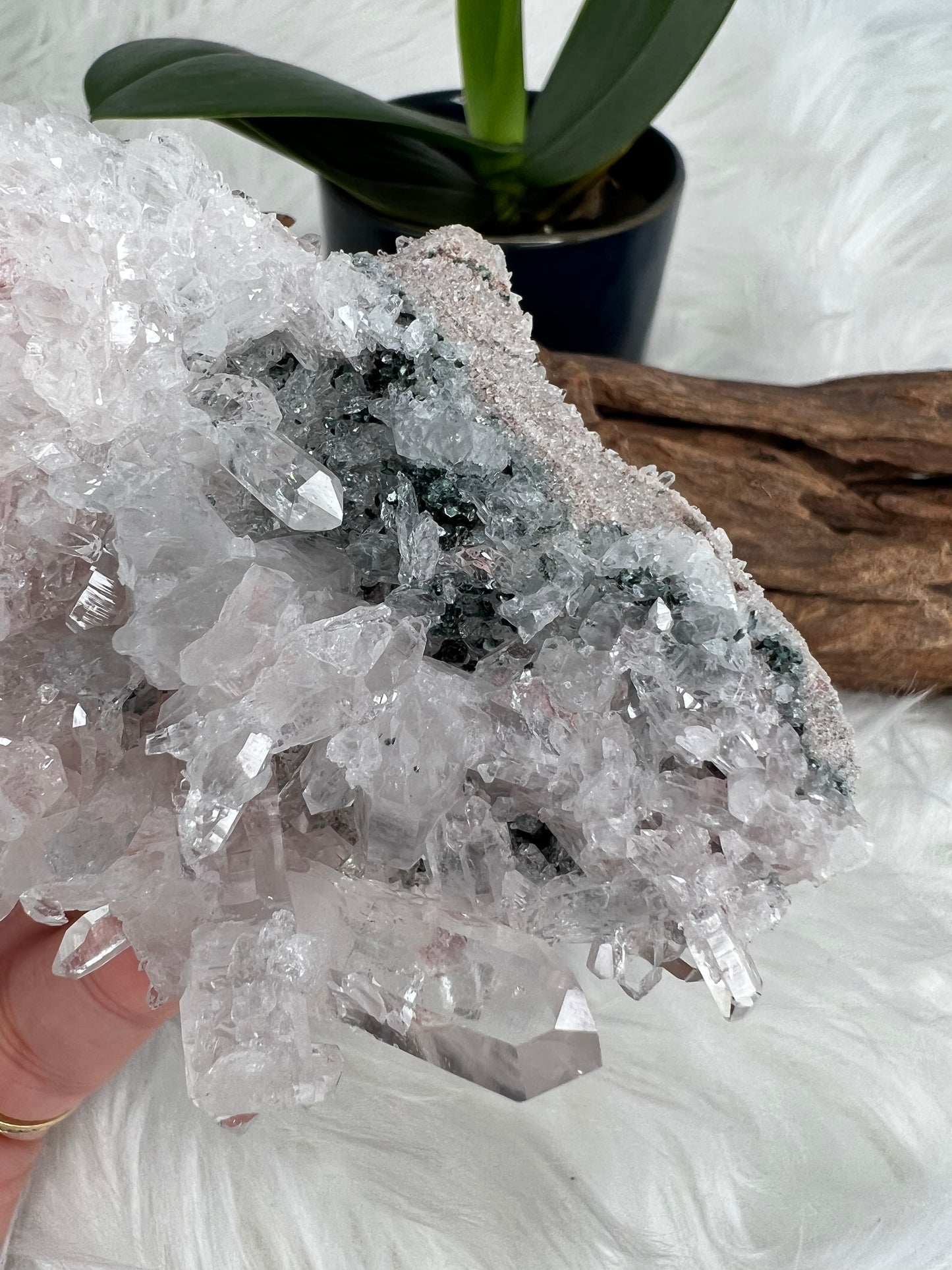 Pink Columbian Lemurian Cluster