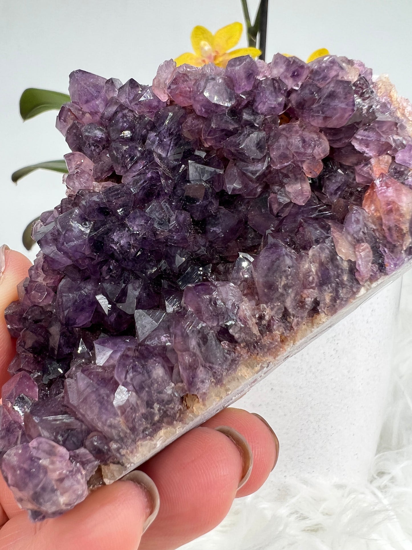 Alacam Amethyst