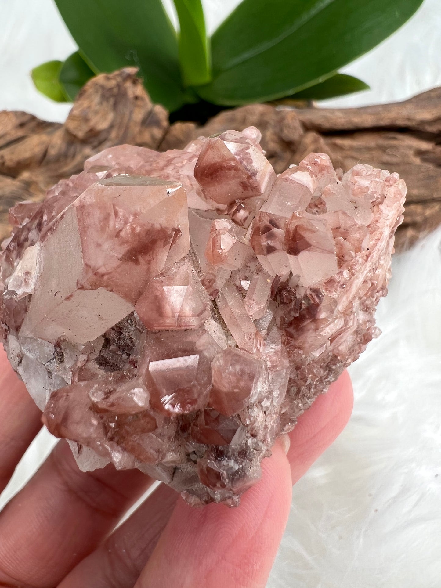 Lithium Included Quartz Cluster