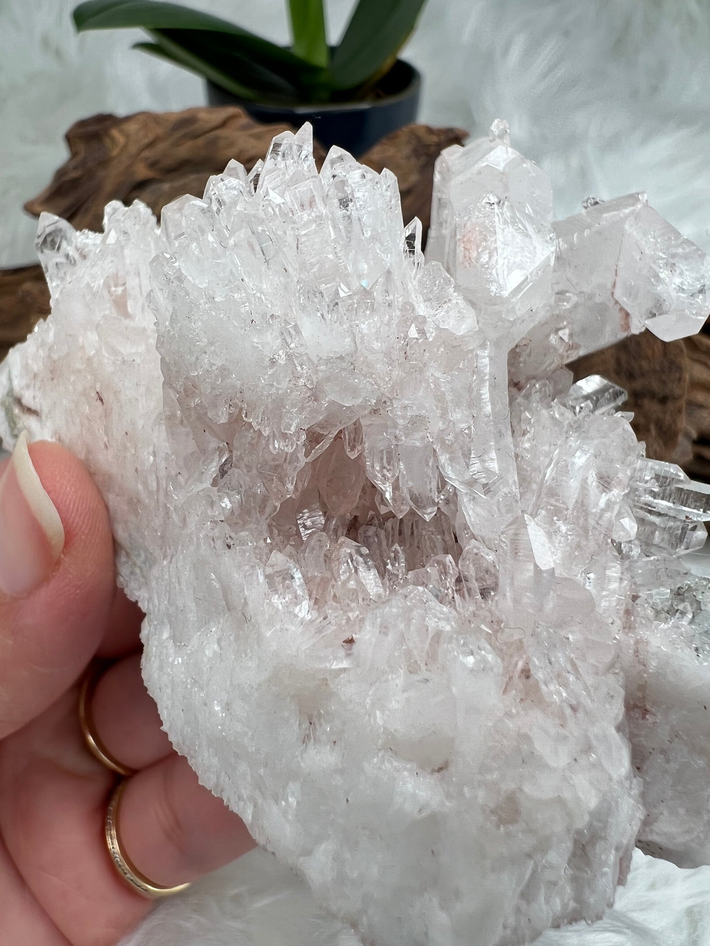 Pink Columbian Lemurian Cluster