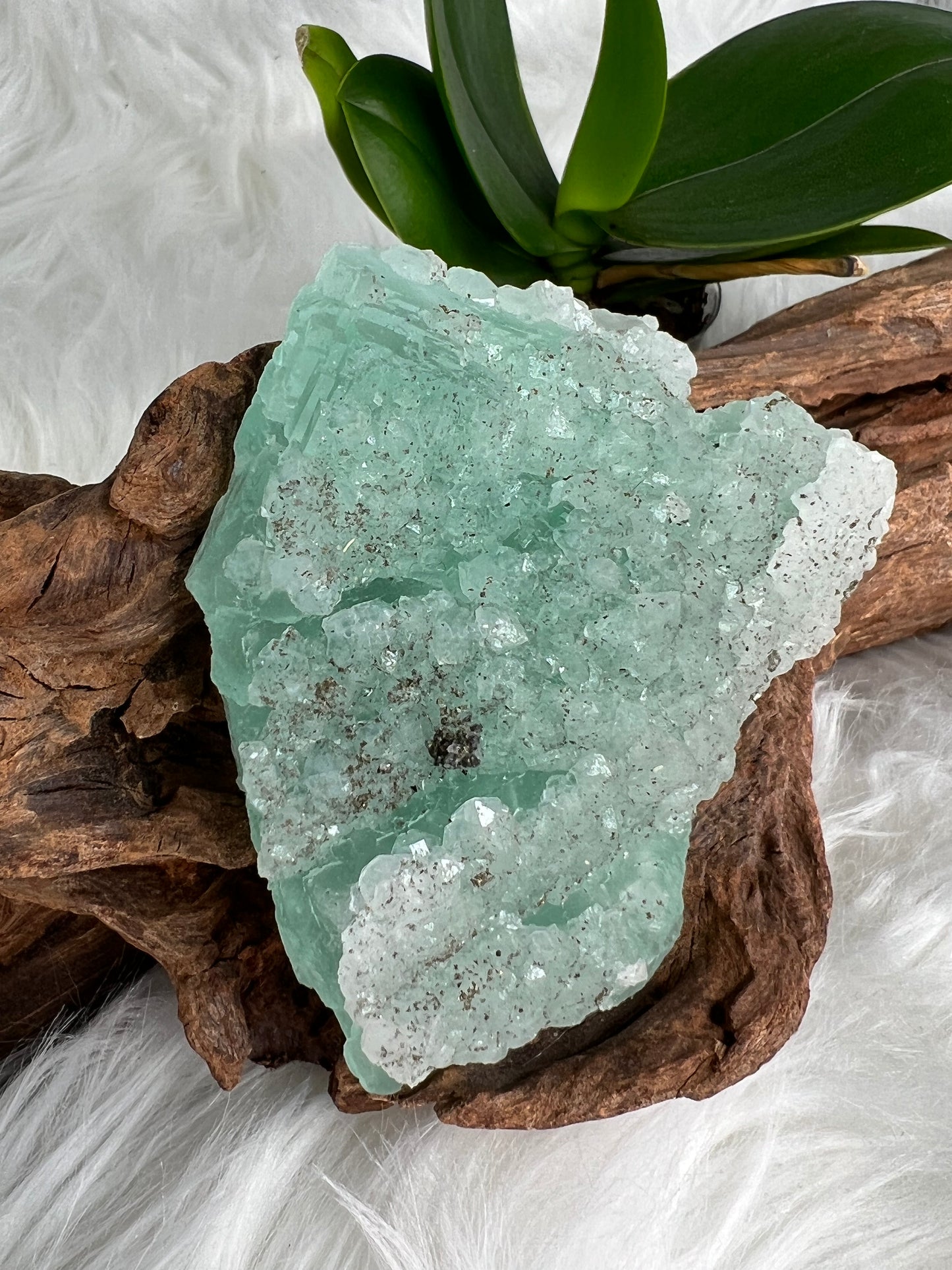 Sea-green Fluorite and Pyrite