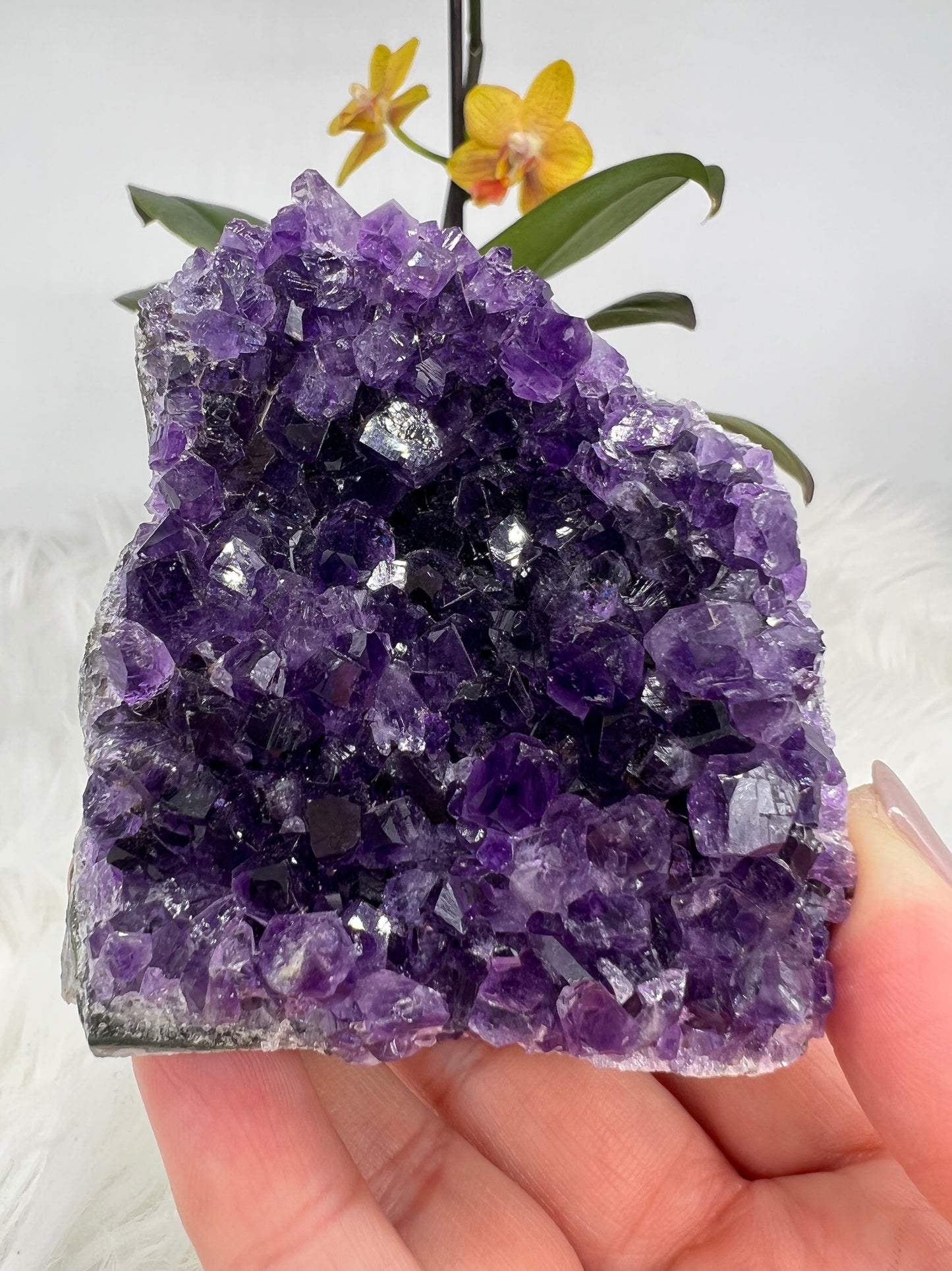 Grape Jelly Amethyst