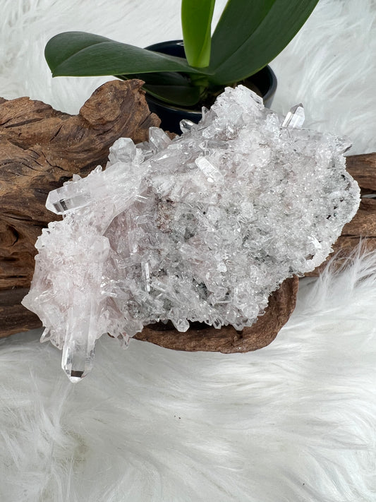 Pink Columbian Lemurian Cluster